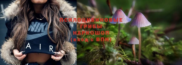 прущие крисы Нефтегорск