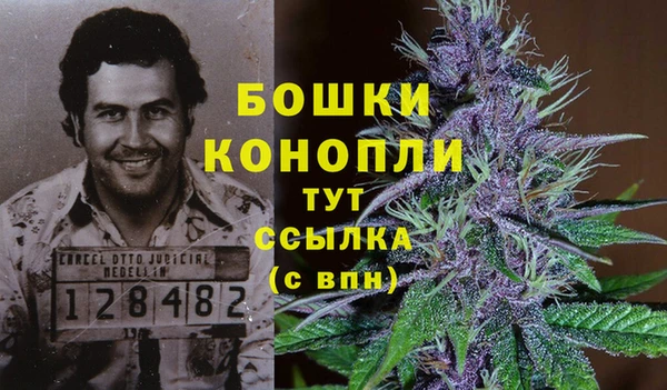 дживик Нефтекумск