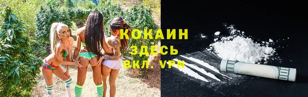 трава Нея