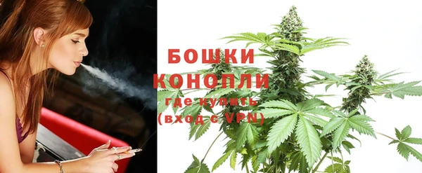 дживик Нефтекумск