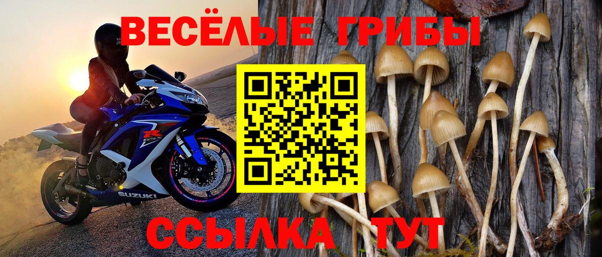 Псилоцибиновые грибы Magic Shrooms Нефтеюганск